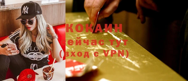 эйфоретик Нестеровская