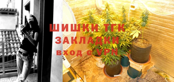 ешки Фёдоровский