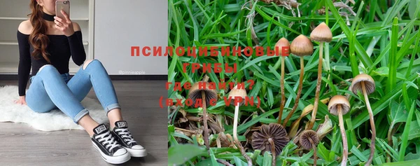ешки Фёдоровский