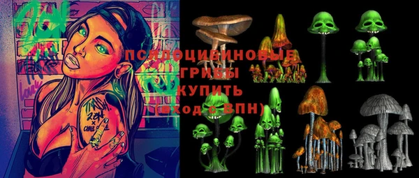 эйфоретик Нестеровская