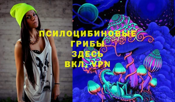 ешки Фёдоровский