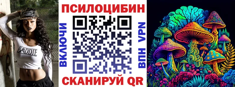 Псилоцибиновые грибы Psilocybine cubensis Елец