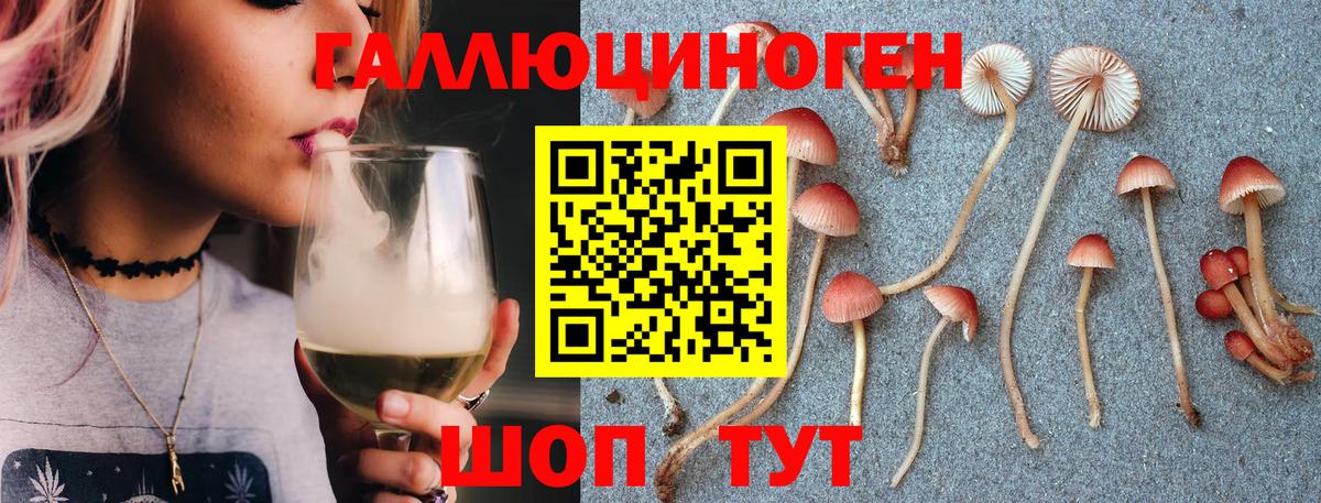 Галлюциногенные грибы Magic Shrooms Елец