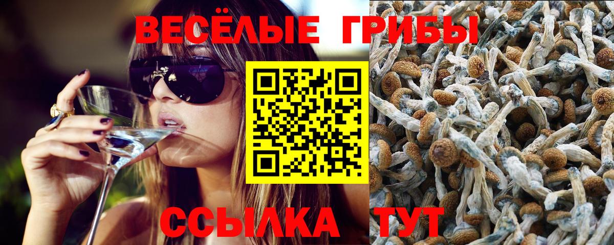 закладка  Псилоцибиновые грибы GOLDEN TEACHER  Вход с VPN  Елец 