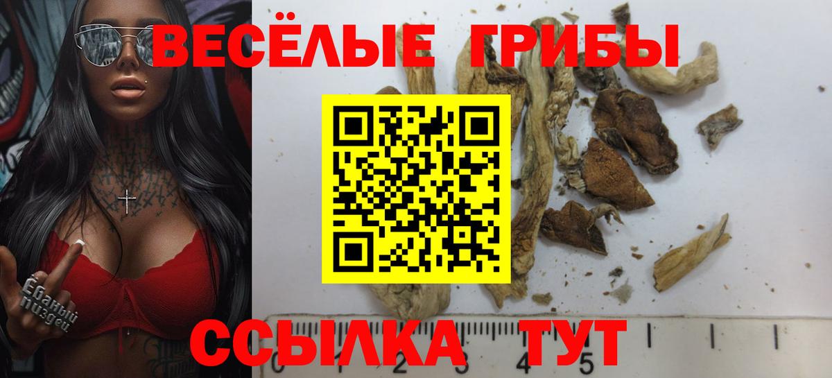 LSD-25 Елец