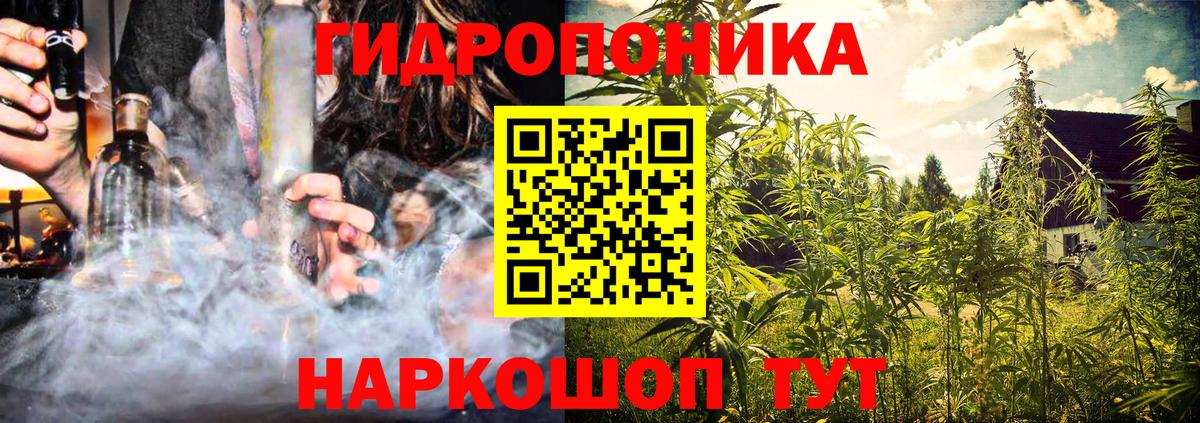 Бошки марихуана гибрид  Вход с VPN  Шишки марихуана планчик  Елец 